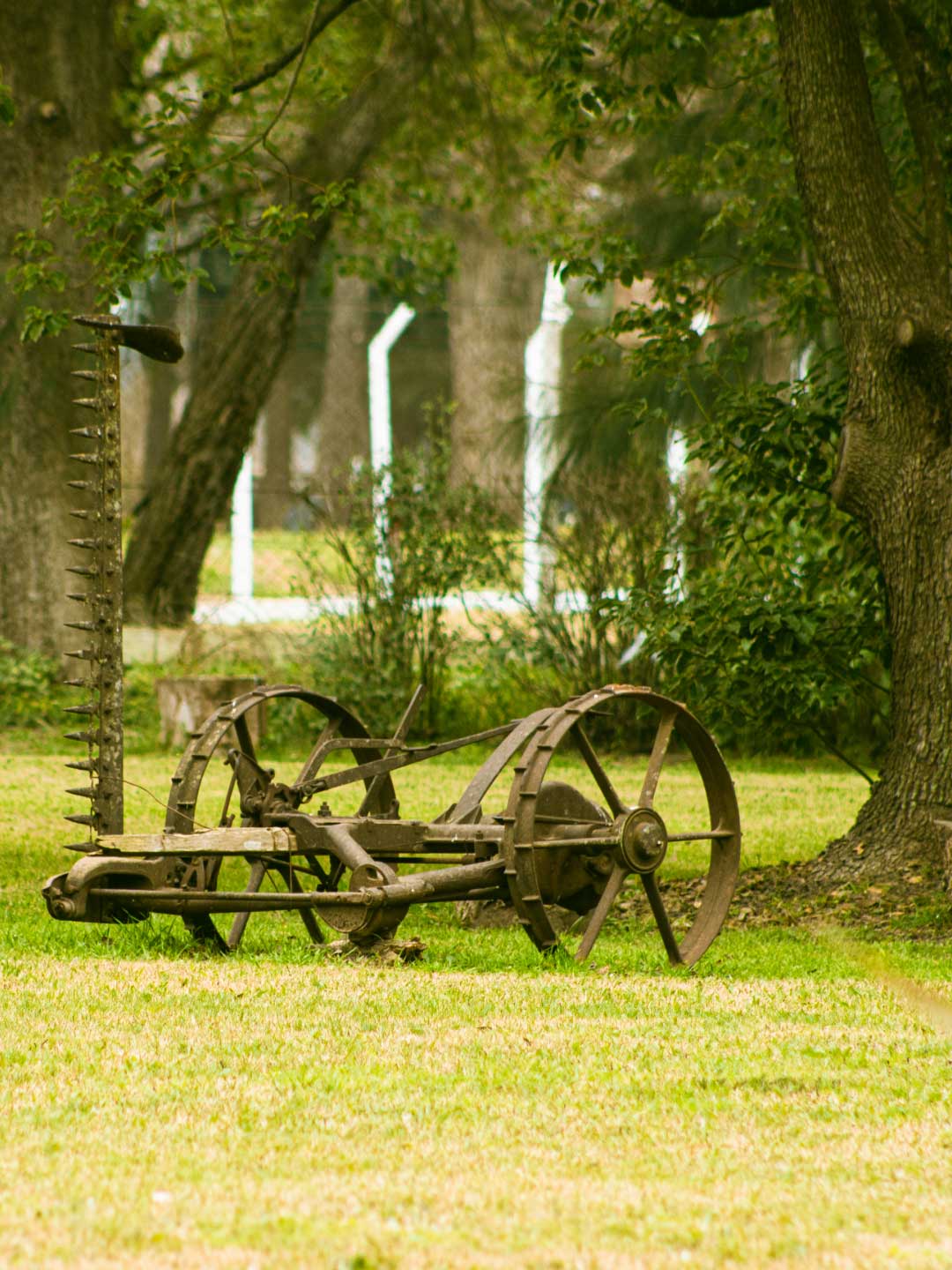la-senalada-evento-restaurante-campo (17)