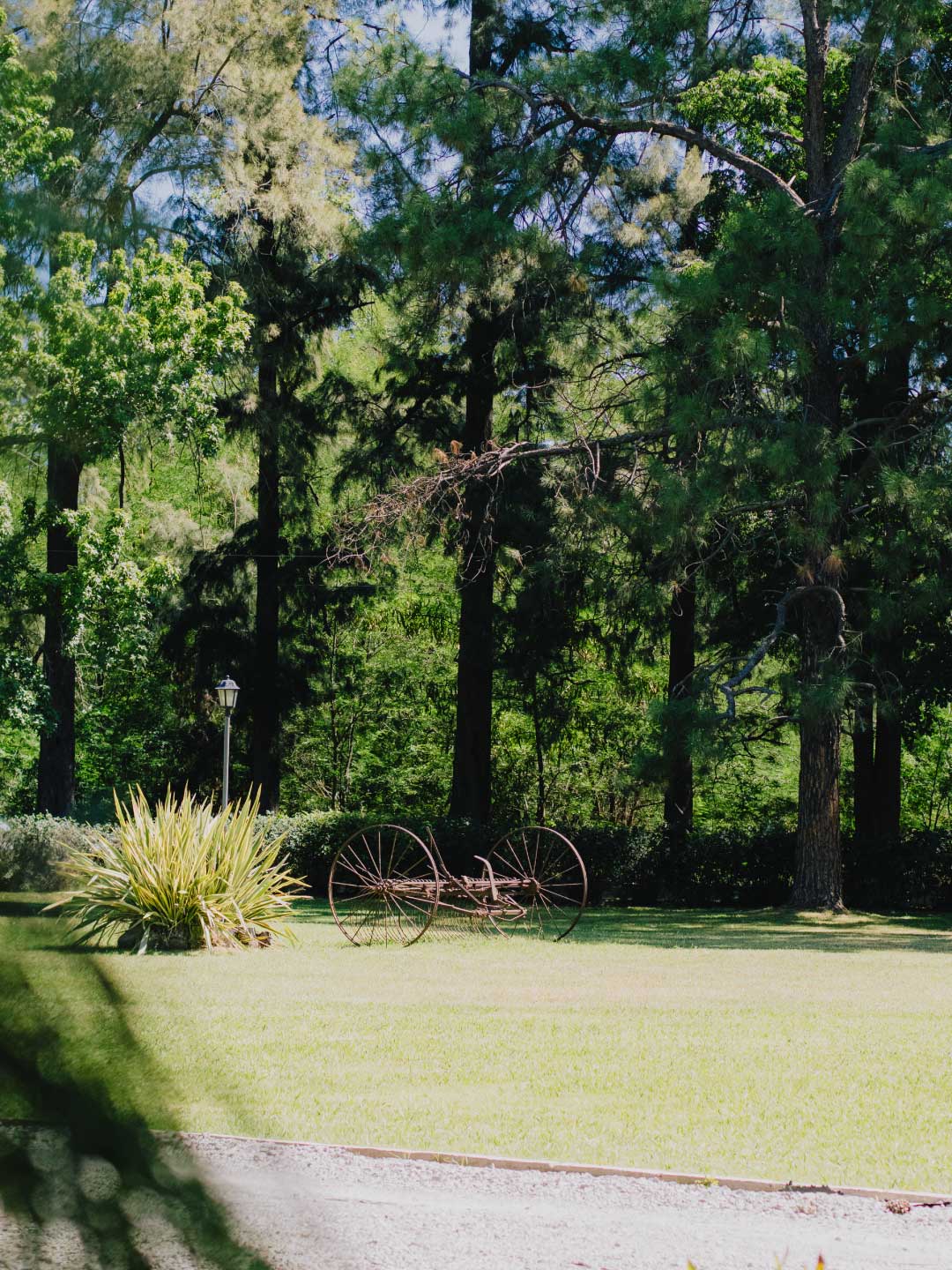 la-senalada-evento-restaurante-campo (4)